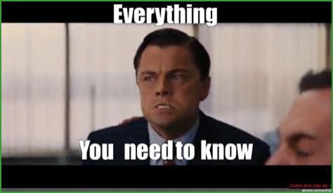 Everything You Need To Know About Molly Norbit