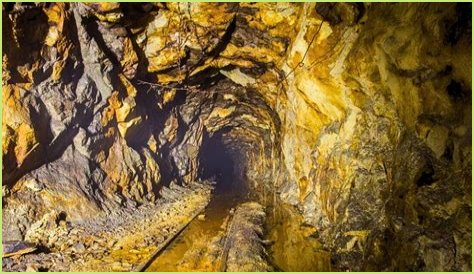 Unveiling Paul Cuffaro's Net Worth: Discoveries And Insights